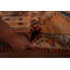 Tapis de couloir turc Oushak Animals