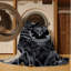 Tapis Dusky Petals-1919752566