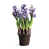 Violet est en rupture de stock