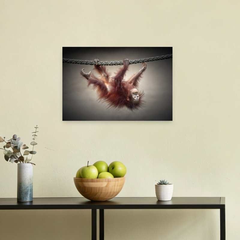 Playful Baby Orangutan Contemporary Monkey Wall Art Print 1 Piece Wrapped Canvas Wall Art, 30.48cm H x 45.72cm W