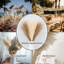 Atoll de 17 po Pampas-469456655