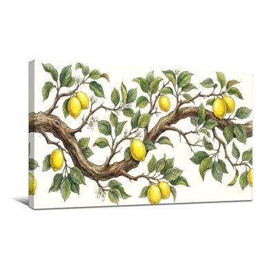 Plantes et fleurs branche de citronnier avec feuilles