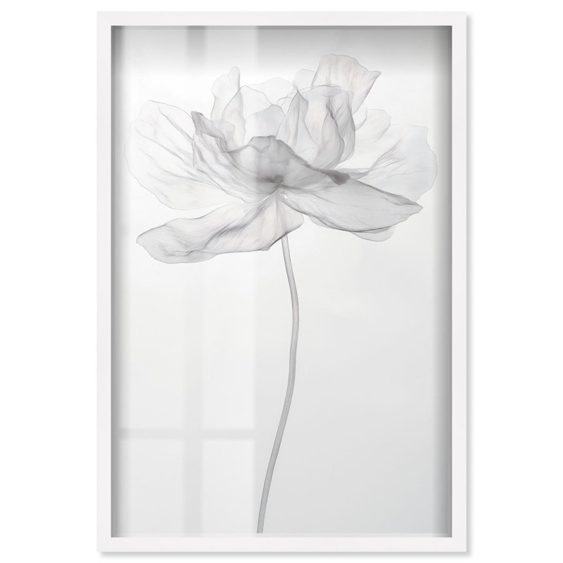«Fragile Beauty II Shadowbox Print», art floral élégant par Art Remedy, H 25 po x l 17 po, Blanc