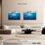 Baleine bleue Brampt-107688007