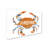 Kadey 'Crab' Graphic Art Print on Canvas-21651552