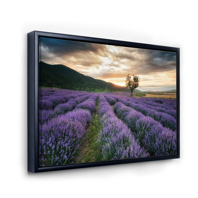Sunrise & Dramatic Clouds Over Lavender Field VII - reproduction de cadre flottant sur toile, H 12 po x l 20 po x p 1 po