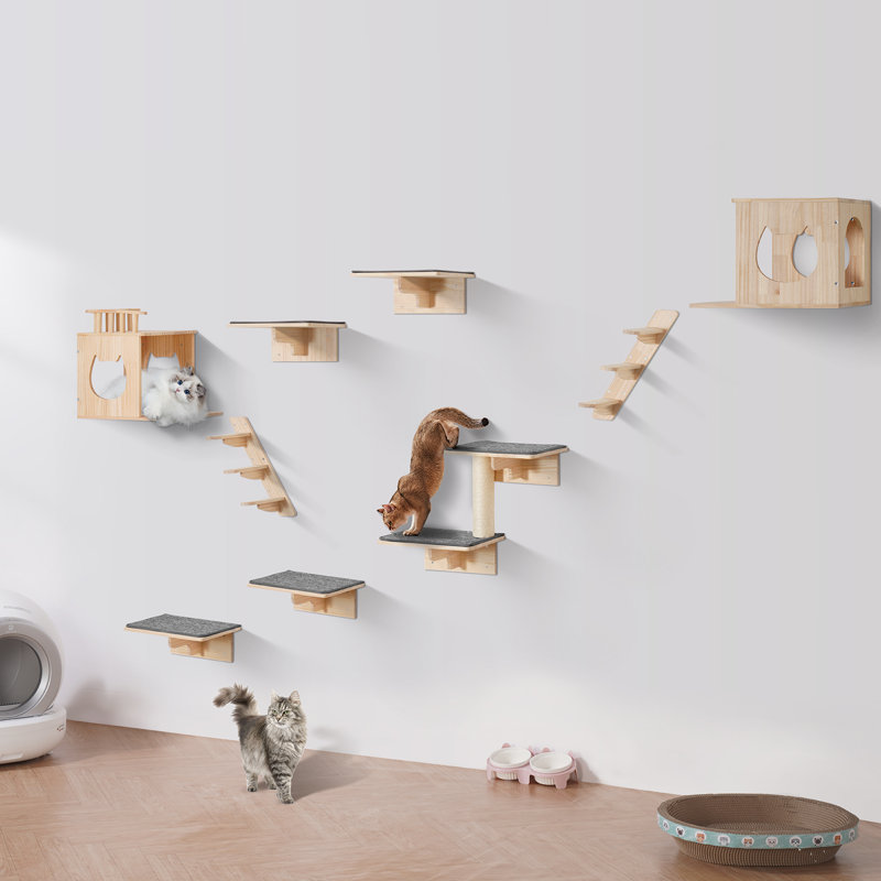 Ensemble de 9 tablettes murales pour chat avec étagères
