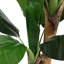 150cm Faux Banana Leaf Tree in Planter