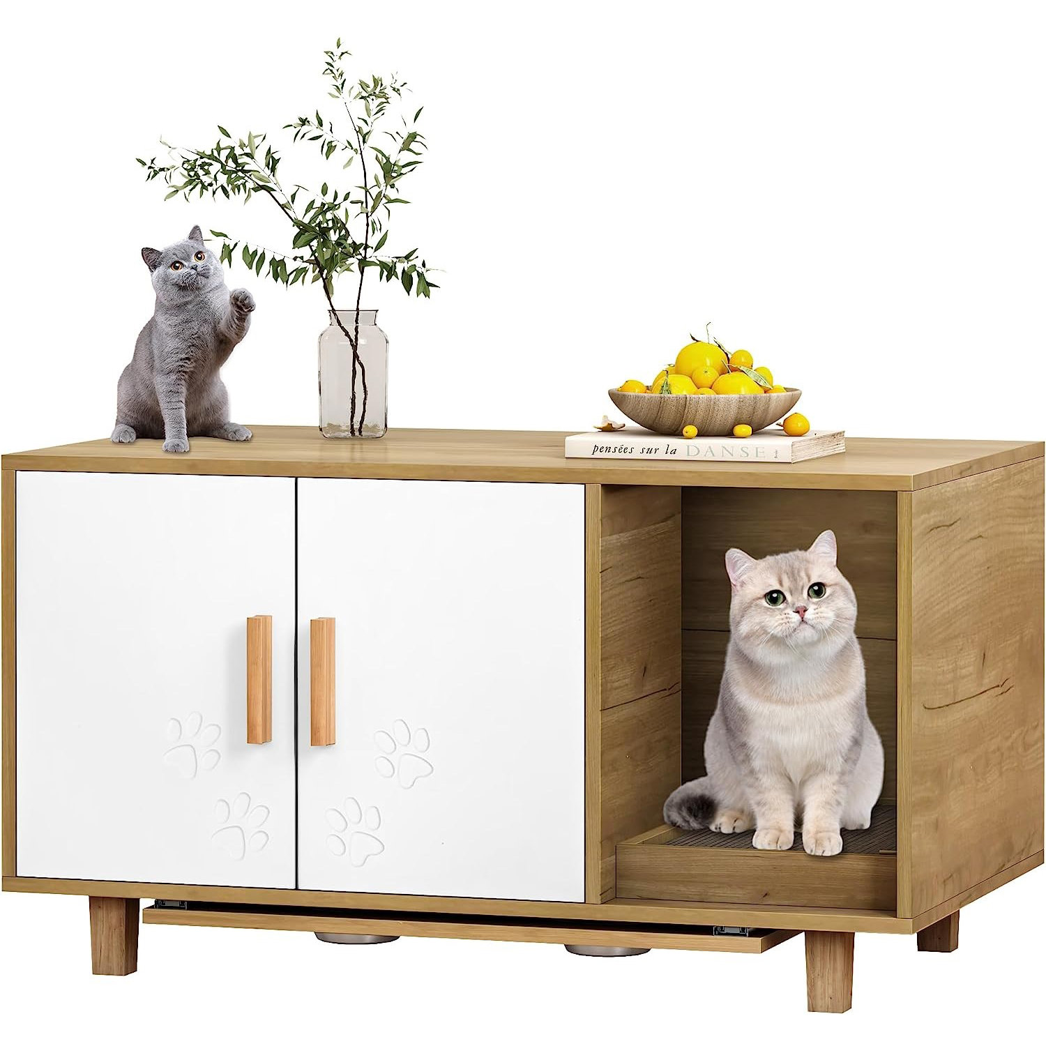 Wayfair modern clearance cat litter box