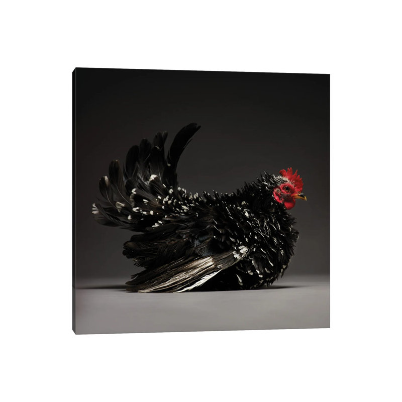 Japanese Bantam by CHICken - Wrapped Canvas Print, 30.48 cm H x 30.48 cm W