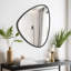 Miroir de décoration murale irrégulier-8558797-8558786