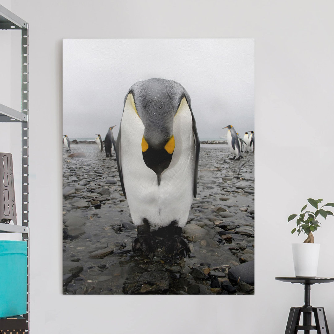 Leinwandbild Penguin