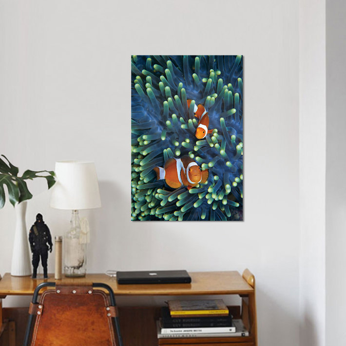 « matin anemonefish pair », impression sur toile, H 18 po x l 12 po x P 1,5 po, Pas de tapis, Toile tendue