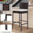 Debany Wicker Outdoor 43'' Stool with Cushion