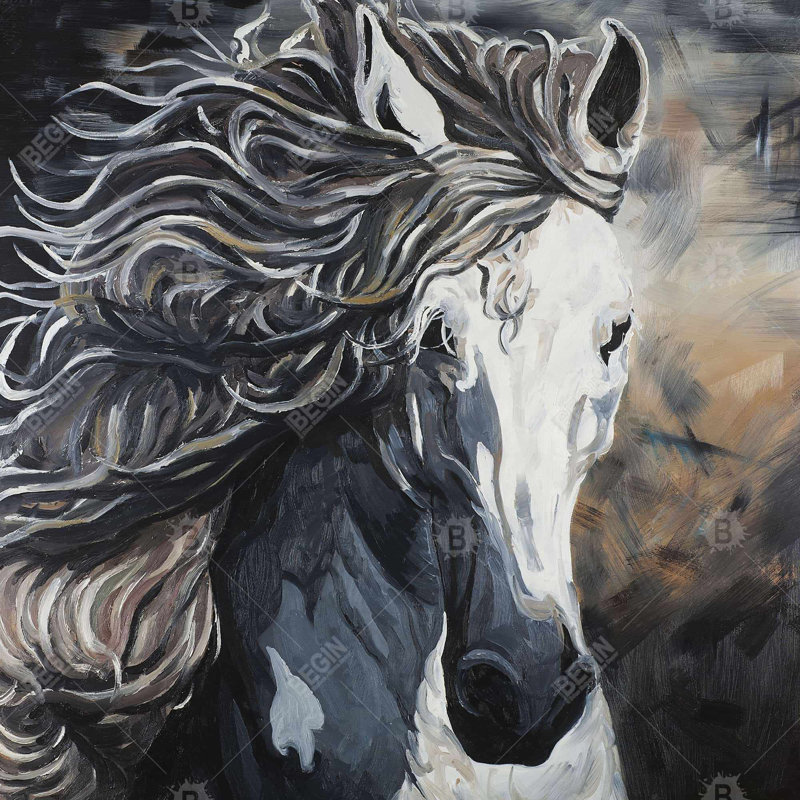 " Front Wild Horse "