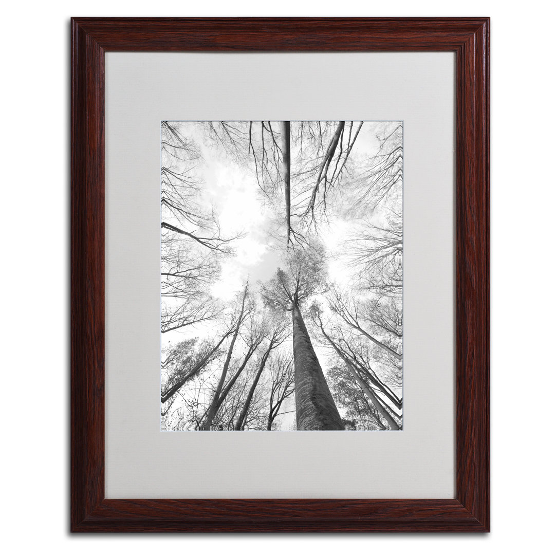 "Recall the Days" by Philippe Sainte-Laudy Matted Framed Photographic Print Hokku Designs Frame 