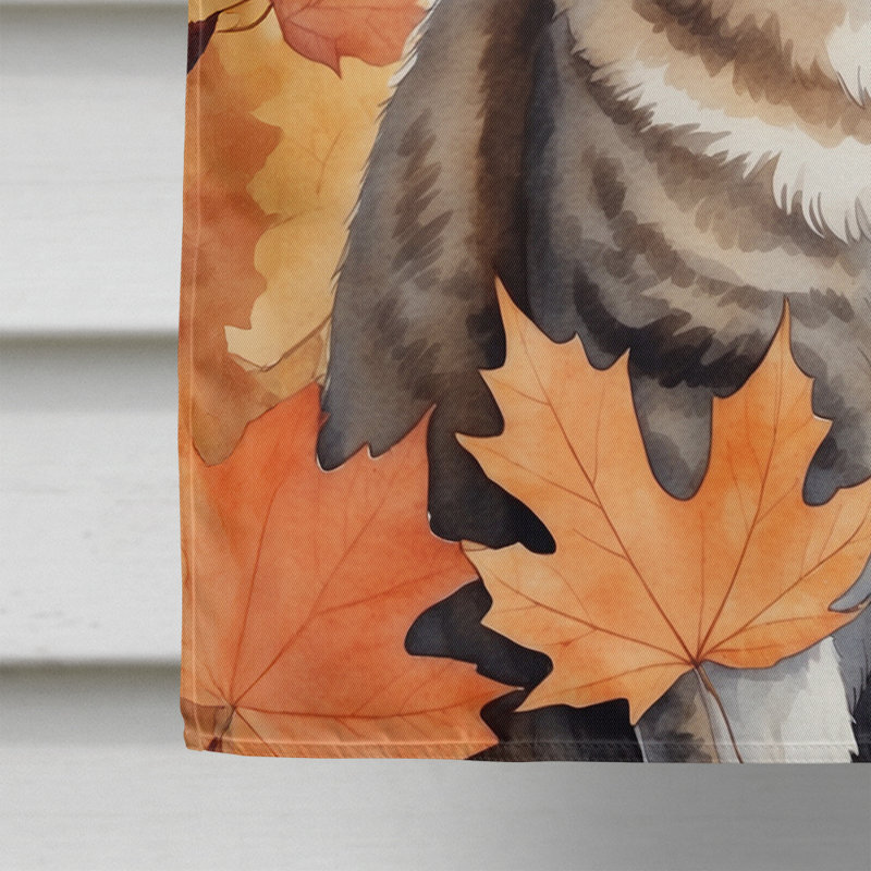 Chat en feuilles d'automne, Bobtail américain