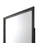 Carine Gray Finish Mirror
