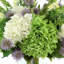Hortensia, chardon et rose disposés dans un vase en verre