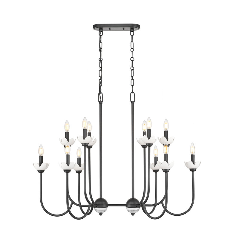 Lustre linéaire moderne Burgett, 12 lumières, H 30,5 po x l 24,5 po x P 42 po, Noir mat