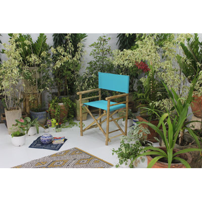 Laseter Folding Director Chair