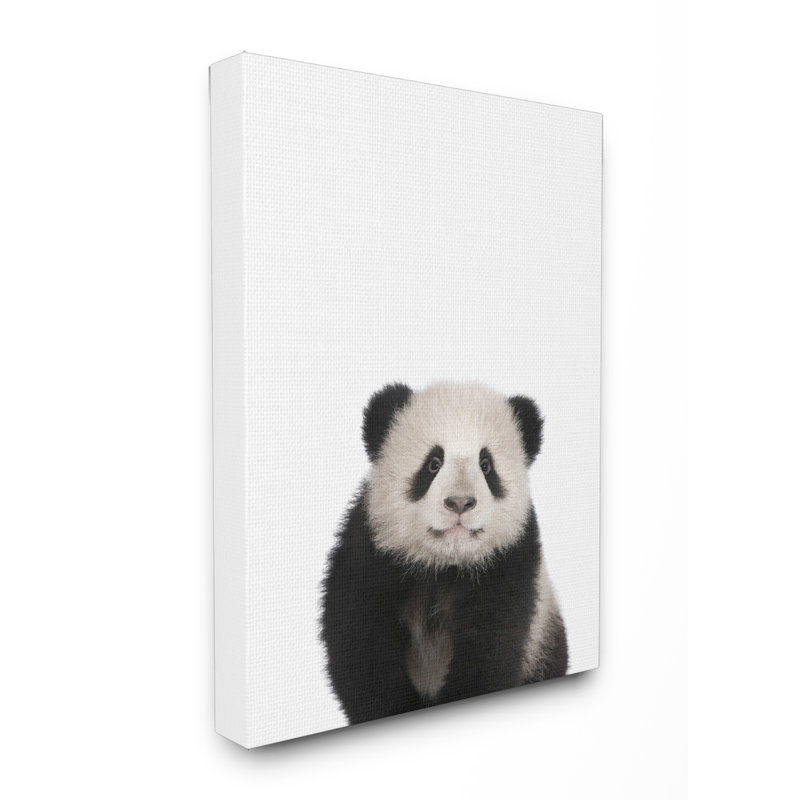 Photo sur toile Griffen Baby Panda Studio, H 30 po x l 24 po x P 1,5 po