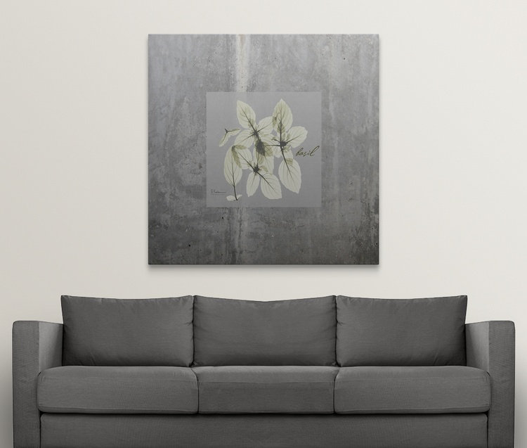 «Concrete Basil» par Redmayne, impression, H 35 po x l 35 po x P 1,5 po, Toile