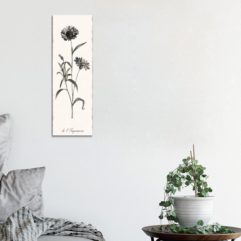 Slender Imperial by Kelly Donovan - Wrapped Canvas Panoramic Painting, 30.48 cm H x 91.44 cm W x 3.175 cm D