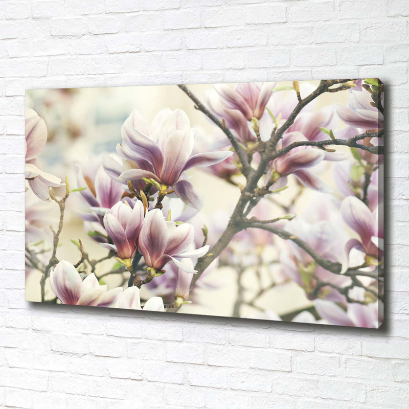 Magnolia - Wrapped Canvas Print