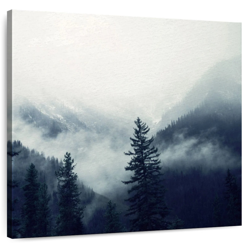 Alvord Navy Forest II