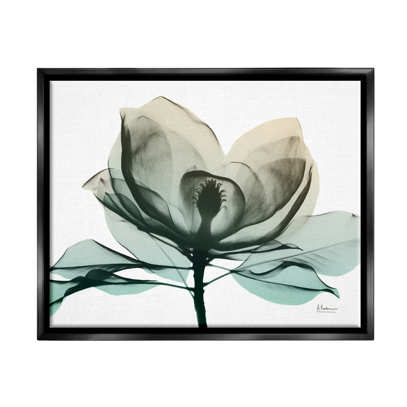 Photographie de la fleur de radiographie verte sur toile, Cadre flottant noir de jais, H 17 po x l 21 po x P 1,7 po