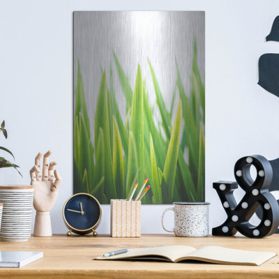 Ebern Designs «Blades of Green 2» par Sonja Quintero, art mural en métal