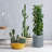 Gethsemane Handmade Pot Planter-1653050988-1652394242
