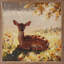 Fawn In The Pasture-873428488