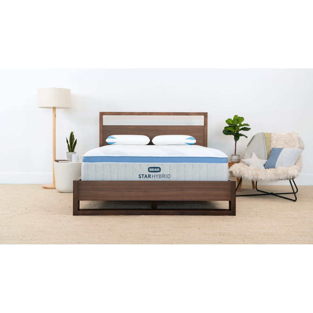 Bear Mattress 13" Star Hybrid  Bear Mattress Mattress 