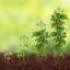 Support à plantes