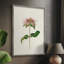 Mauve Garden Flowers V Framed Print - Solid Wood-694767380