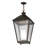 Baylynn Outdoor Hanging Lantern