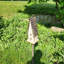 Maison d'oiseaux Chippy White Large Church Wren