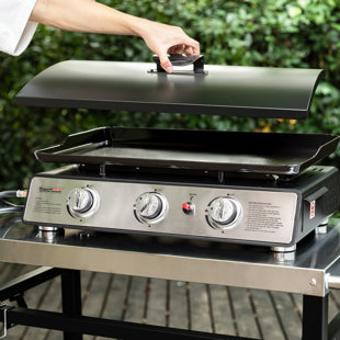 https://assets.wfcdn.com/im/79980808/resize-h310-w310%5Ecompr-r85/2258/225808093/Portable+Griddle+Hardcover.jpg