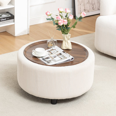 Pietsch Round Coffee Table with Storage