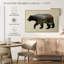 L'ours noir nord-américain-307570963-307570987