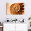 Coque Aletra Nautilus à l'intérieur-107680921