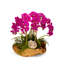 Orchid Faux Floral Arrangement in Planter-46128080