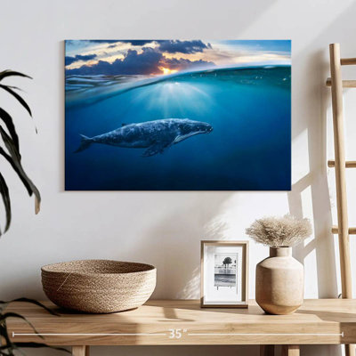 Brampt Blue Ocean Whale