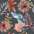 Gris / Orange