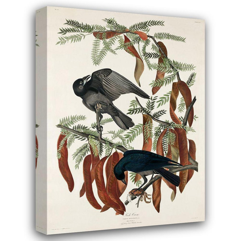 Art sur toile tendu Lark Manor ™, Audubon, John James 53550, H 39 po x l 28 po