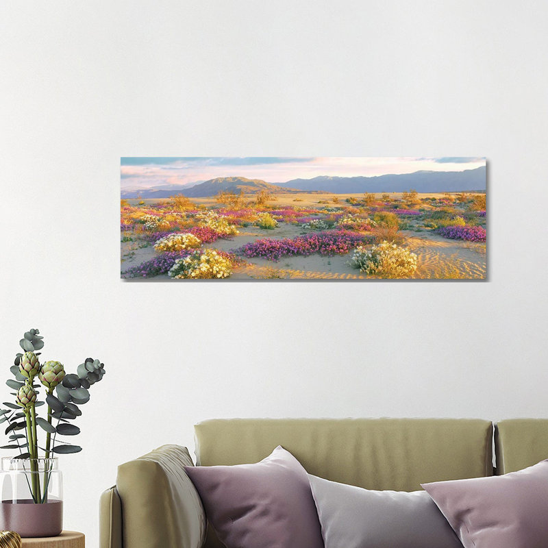 Sand Verbena And Primrose Growing In Sand Dunes Of Anza-Borrego Desert State Park, California, USA - Wrapped Canvas Panoramic Print