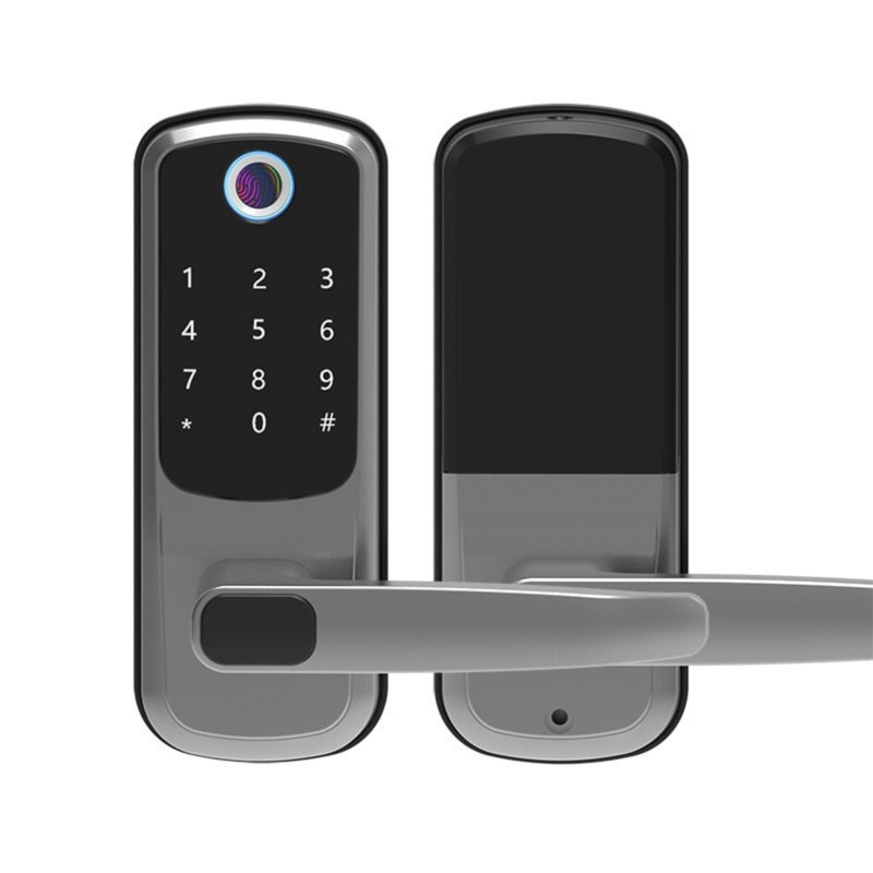 Smart Door Lock with Handle: Keyless Entry Door Lock with Keypad, Fingerprint, and App Control