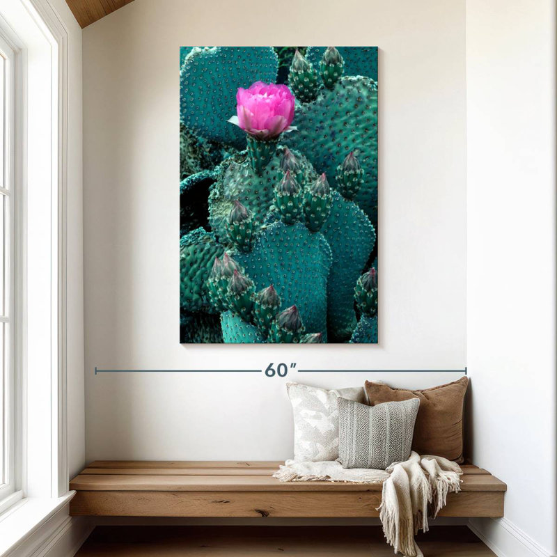 Harnek Beaver Tail Cactus, 48" H x 32" W